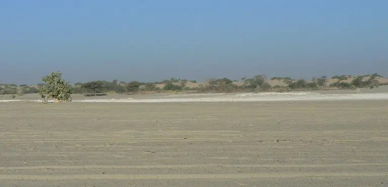 Some ecological settings, such as drylands, which are home to a high proportion of the world’s poor, are poorly studied and have become the neglected 'ugly duckling' of biodiversity research (Photo: Marie Monimart)