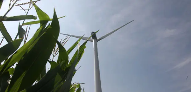 Renewable energy has a place to play in providing energy access to small farms (Photo via Google reuse rights))
