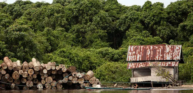Deforestation in Kalimantan, Indonesia, which has been pledged US$1 billion pledge of REDD+ finance from Norway (Photo: Josh Estey/Aus Aid, via Creative Commons http://creativecommons.org/licenses/by/2.0/)