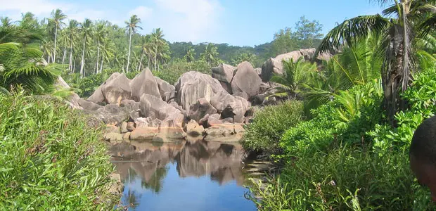 Unspoiled Seychelles landscapes and their rich biodiversity shouldn't be harmed by development (Photo: tiarescott, via Creative Commons http://creativecommons.org/licenses/by/2.0/)