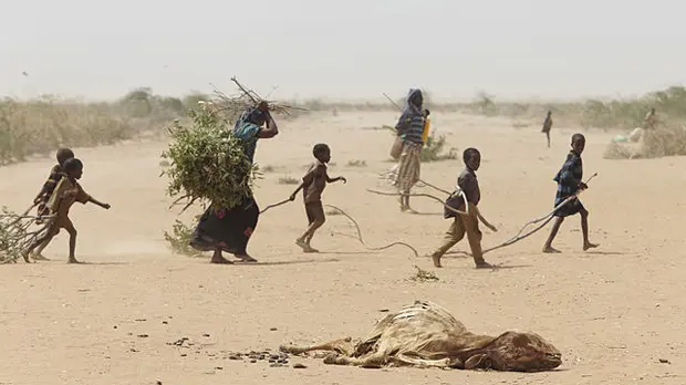 A family in Dadaab gathers sticks and branches for firewood and to make a shelter, while carcasses of animals that have perished in the drought are strewn across the desert (Photo: Andy Hall/Oxfam via Wikipedia Commons)