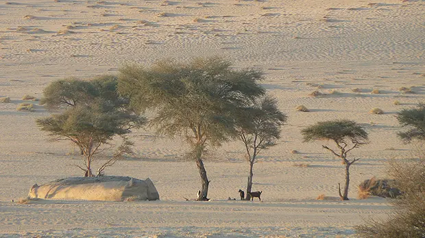 While one of the objectives of the 2014 World Day to Combat Desertification is to strengthen the visibility of the drylands on the international environmental agenda, much more is needed (Photo: Marie Monimart)
