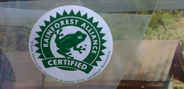 Picture of the Rainforest Alliance logo on a bunch of flowers. 