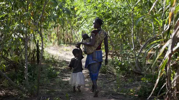 Meceburi Forest, near Nampula, Mozambique (Photo: Mike Goldwater)