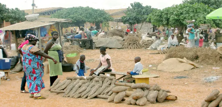 Ejura Market in Ghana is an important centre for farmers selling their yam crops (Photo: IITA)