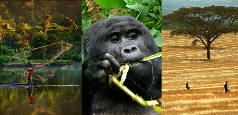 Images for biodiversity, conservation and poverty reduction (Photos: Ricky Martin, Douglas Shiel, Tim Cronin)