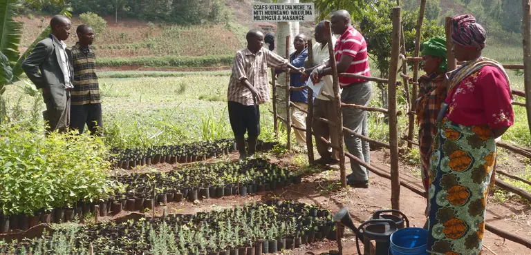 Lushoto, Tanzania: Farmers are being encouraged to diversify into agroforestry. Here a tree nursery group discusses the challenges and opportunities (Photo: P Kimeli/CCAFS)