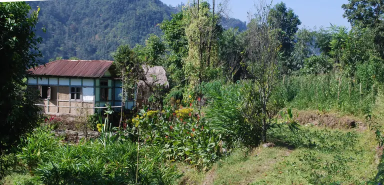 The rich agro-biodiversity of the Eastern Himalayas (Photo: Nawraj Gurung)