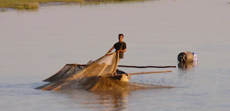 Bangladeshi fishers with debts must repay loans even when fishing is banned, resulting in illegal fishing activities (Photo: John Pavelka, Creative Commons, via Flickr)