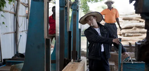 Chinese timber business in Mozambique (Photo: Mike Goldwater)