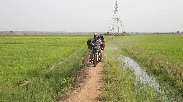 A farmer on his motorbike on the bank between irrigated fields. In the background, pylons carry hydroelectric power from the Sélingué dam (Photo: Mike Goldwater/GWI)