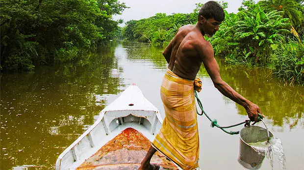 The Ministry of Environment and Forests (MoEF) of Bangladesh won the Earth Care Award 2012 for spearheading the  Least Developed Countries Fund project 'Community-based adaptation to climate change through coastal afforestation in Bangladesh' (Photo: UNDP Adaptation Learning Mechanism)