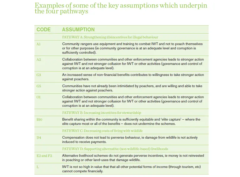 A series of assumptions related to the draft theory of change to explore four different approaches to engaging communities in tackling illegal wildlife trade. Click to the left see the theory of change to which the table relates (Image: IIED)
