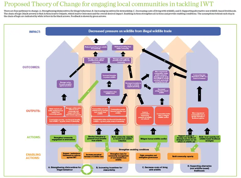 A draft theory of change to explore four different approaches to engaging communities in tackling illegal wildlife trade. Click to the right to see a table of assumptions on which the image is based (Image: IIED)
