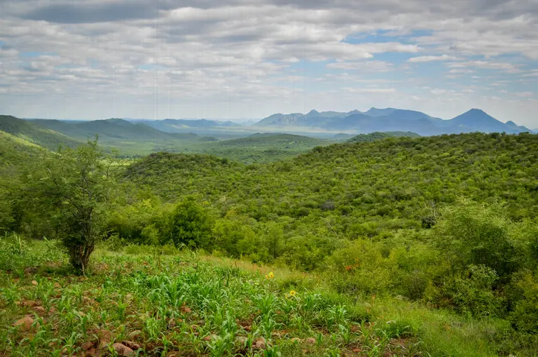 Angola aims to achieve its mitigation goals through the promotion of renewable energy, stabilisation of agricultural emissions, carbon sequestration from the forestry sector and other activities (Photo: jbdodane, Creative Commons via Flickr)