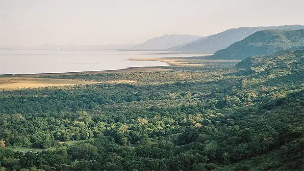 An area of forest in Tanzania, where REDD+ activities have included the support of community land use planning and the provision of alternative livelihoods (Photo: Wikipedia Commons)