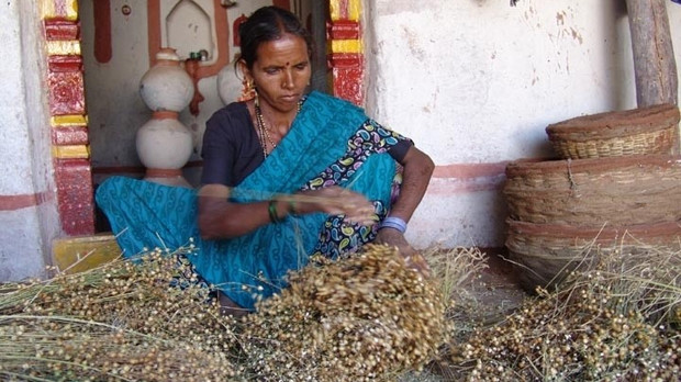The Deccan Development society works with poor women in Andhra Pradesh, India. It facilitates a network of women seedkeepers who conserve and exchange seeds (Photo: Deccan Development Society)