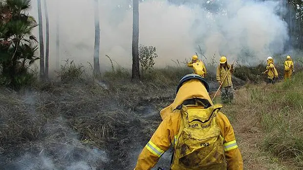 Pre-emptive controlled burning in Belize is preventing severe uncontrolled wild fires during the driest months (Photo: Toledo Institute for Development and Environment)