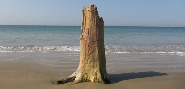 Evidence of coastal erosion in The Gambia. Erosion is threatening not only Gambia's tourist industry but also wetlands, roads and infrastructure (Photo: Diego, Creative Commons via Flickr)