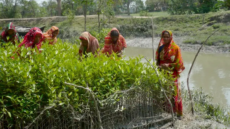 CBA5 participants visited Char Kukri-Mukri island on the southeast coast. Here women tend mangrove seedlings destined to provide a barrier against erosion (Photo: B. Koelle)