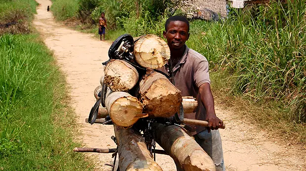 A man transports logs by bicycle. Services provided by informal economies, such as small-scale logging, are often not integrated into plans for green growth (Photo: Jolien Schure/CIFOR, Creative Commons, via Flickr)