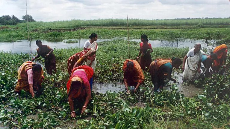 Women doing maintenance work on a fish sanctuary in Bangladesh (Photo: Paul Thompson/Challenge Program on Water and Food, Creative Commons via Flickr)