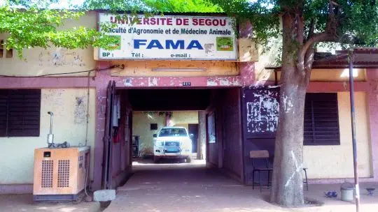 The new university in Ségou. Mali's capital city, Bamako, is the nation's political and economic power base – greater decentralisation will bring many benefits (Photo: Camilla Toulmin/IIED)