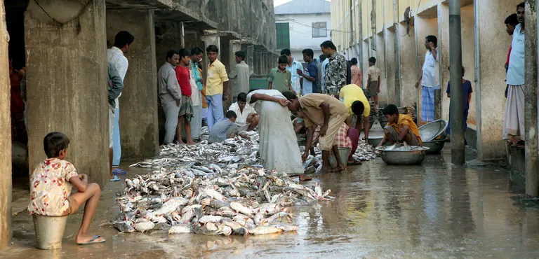 A wholesale fish market in Cox's Bazar on the Bay of Bengal. Fishing communities need access to finance and infrastructure such as clean water, refrigeration and transport (Photo: Aftab Uzzaman, Creative Commons via Flickr)