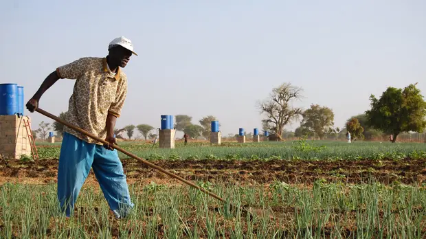 A farmer in Tattaguine, Senegal benefits from an irrigation project. IIED is advocating for the Green Climate Fund to speed up the process of getting finance to local levels, those who need it most (Photo: Ryan Kendrick Smith, Creative Commons, via Flickr)
