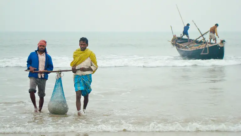 Fishermen offloading their morning catch from a fishing boat in Kalindi, West Bengal (Photo: Souvik Das Gupta, Creative Commons via Flickr)