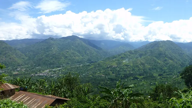 The foothills of Uganda's Rwenzori Mountains (Photo: Els Lecoutere, IOB, University of Antwerp, Creative Commons via Flickr)