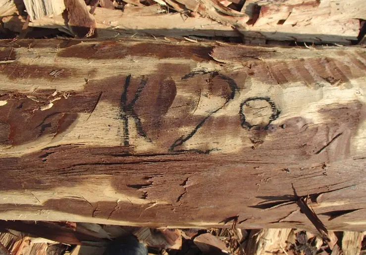 Mukula log with a price tag of $2 marked by a buyer in a log yard