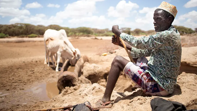 2017: pastoralists in Isiolo county in Kenya are digging for water in dried-up river beds. Agricultural insurance schemes can help pastoralists and farmers be more resilient to climate shocks (Photo: Denis Onyodi/KRCS)