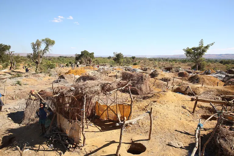 Miners clear forest areas to set up sites and use wood for their operations and shelters