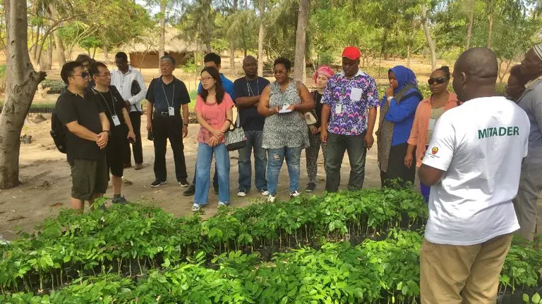 Chinese and African delegates visit a nursery and learn about a reforestation project in Pemba, Mozambique (Photo: Duncan Macqueen/IIED)