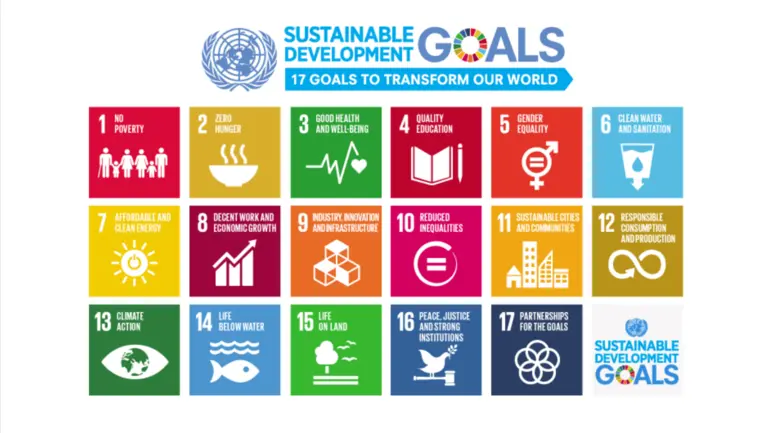 The logo for the Sustainable Development Goals (Image: the United Nations)