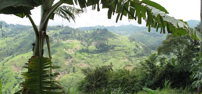 Large-scale international investments in Cameroon have highlighted the importance of protecting the land rights of rural people (Photo: World Agroforestry Centre, Creative Commons via Flickr)