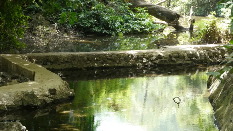 Water is conserved at a devolved climate finance project site in Zanzibar