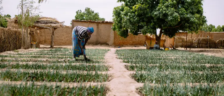 Farmer, Kabré Ali, Tintilou village, Burkina Faso