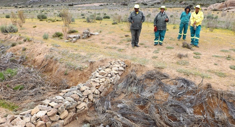 A stone gabion constructed to control erosion across a gully in the Namaqualand region. (Photo: Halcyone Muller / Conservation South Africa)