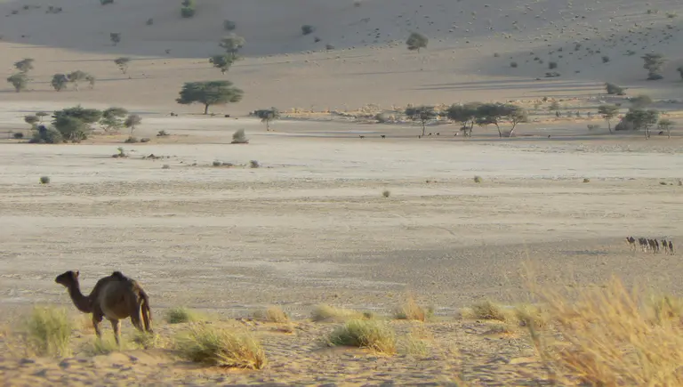 Common land resources are important to rural communities in much of Africa (Photo: Marie Monimart) 