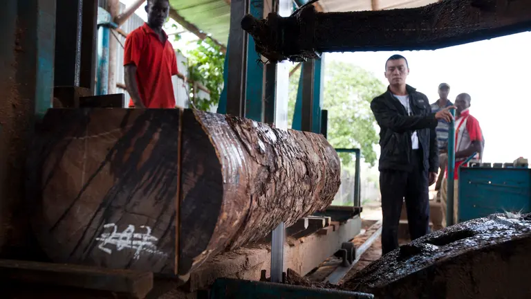 Depot of Green Timber, a Chinese-owned timber company which has a concession covering more than 200,000 hectares in two provinces of Mozambique (Photo: Mike Goldwater/IIED)