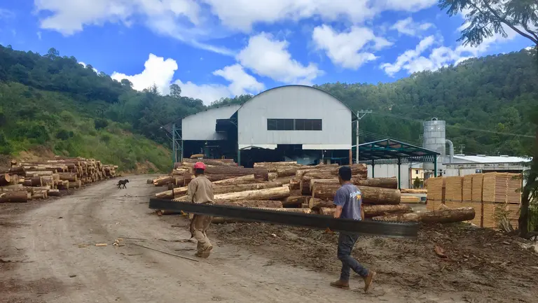 A community-owned Mexican sawmill in Oaxaca (Photo: Duncan Macqueen)