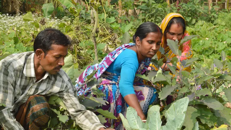 Putul Rani and her family are members of a hilsa fish conservation group in Bangladesh that aims to help protect fish stocks (Photo: WorldFish, Creative Commons via Flickr)