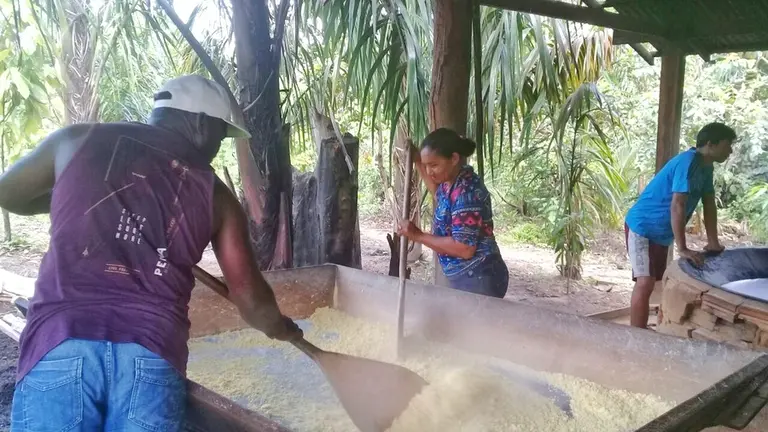 Esta comunidade quilombola foi apoiada a fim de produzir farinha de mandioca. (Foto: Fundo Dema)