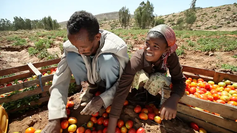 A government scheme to employ people to build water management infrastructure has supported Ethiopian smallholders and saved water for growing crops. (Photo: Stephan Bachenheimer / World Bank) 