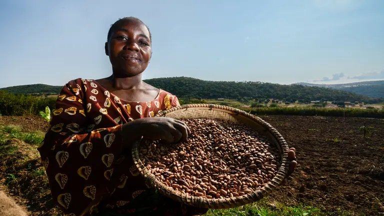 A Tanzanian woman farmer displays her crop. With commercial pressures on land increasing, women farmers in Africa need support to understand, and speak up for, fair land governance (Photo: Georgina Smith/CIAT, Creative Commons via Flickr)