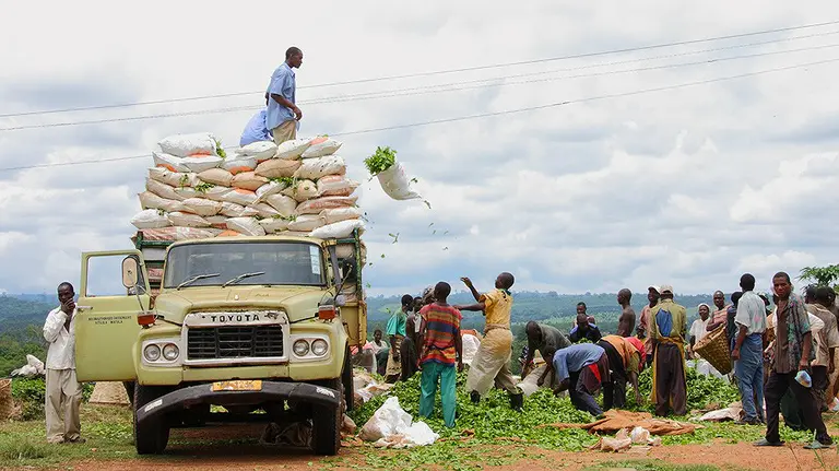 Farmers loading tea leaves in Malawi (Photo credit: nchenga nchenga, Creative Commons via Flickr)