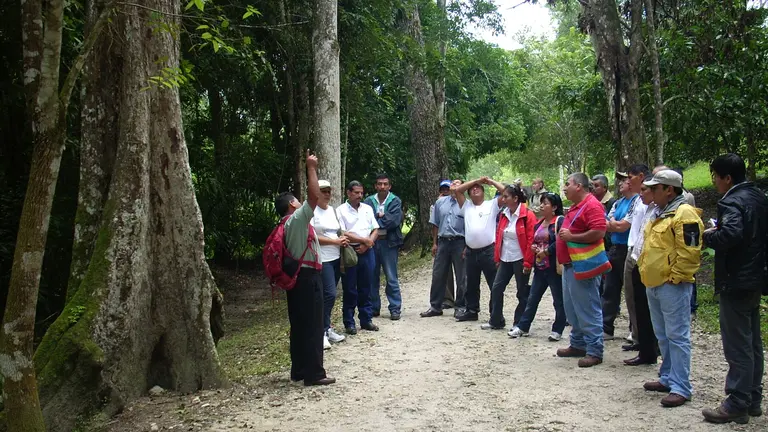 This Guatemala-Peru exchange visit was part of a project that promoted partnerships and networking for forestry-dependent communities