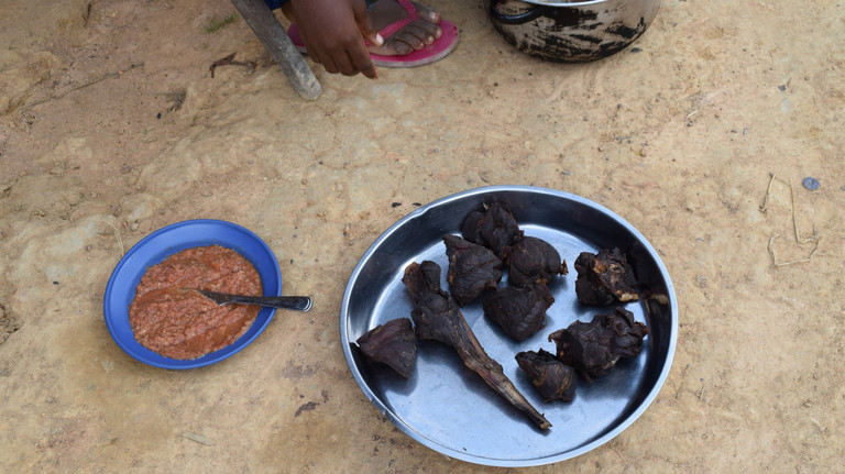Cooked meat from a Duiker, on a plate on the floor